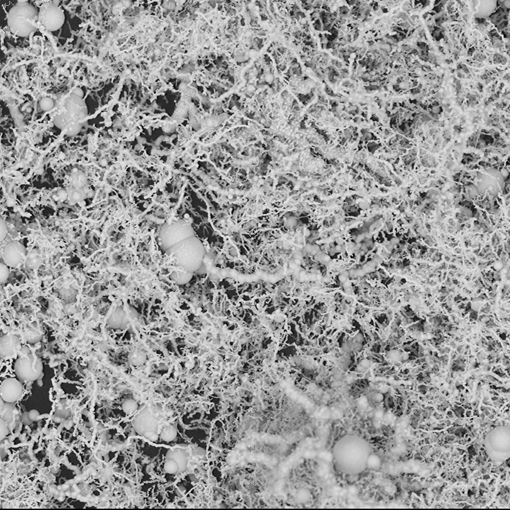 2-2�F�{���w�S